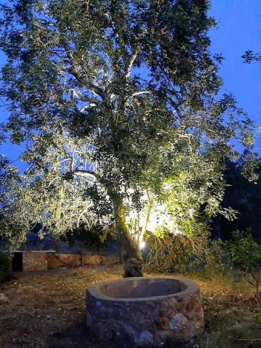 Quinta Do Cerro Sao Vicente Villa อัลบูเฟรา ภายนอก รูปภาพ